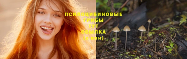 первитин Нягань