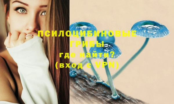ALPHA PVP Нязепетровск