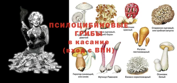 ALPHA PVP Нязепетровск