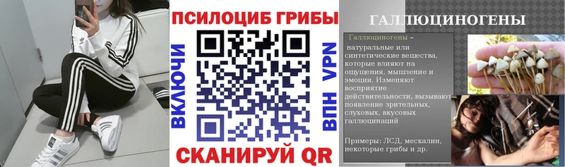 Псилоцибиновые грибы мицелий  как найти   Дербент 