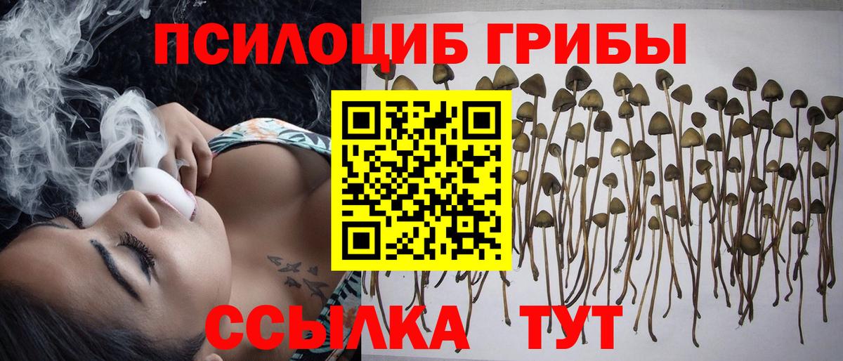 Дербент  Псилоцибиновые грибы MAGIC MUSHROOMS  Вход с VPN  Псилоцибиновые грибы MAGIC MUSHROOMS 